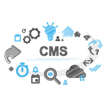 CMS Website Development Services