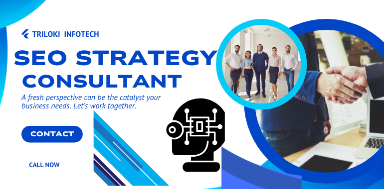 seo strategy in patna